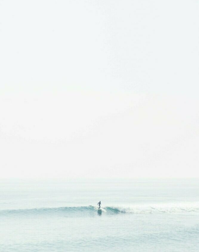 Riley J Zzky O Ha1ts unsplash