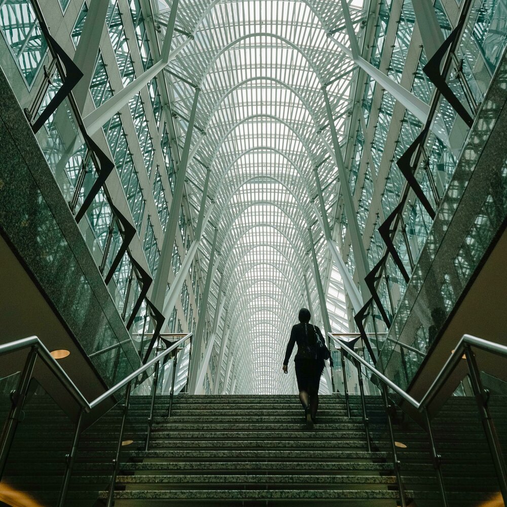 Pexels mvdheuvel 4254901