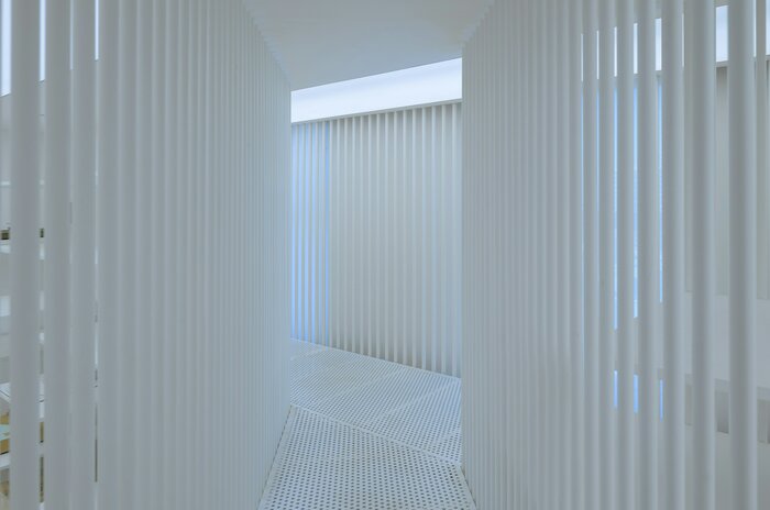 Declan sun 5se ixwdx Nc unsplash